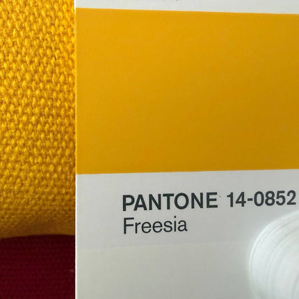 Canvas 12oz, Yellow Freesia