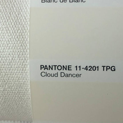 Canvas 12oz, Cloud Dancer