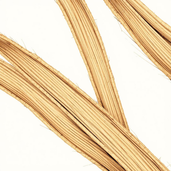 Abaca